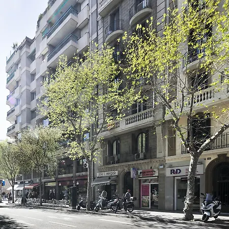 Habitat Ava 1 * Barcellona